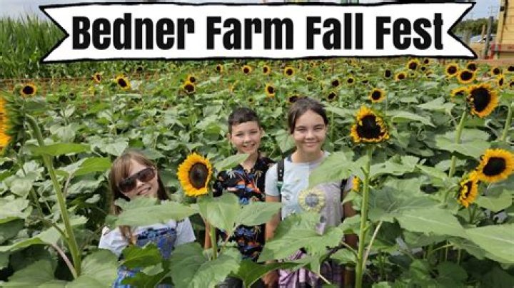 Bedner's Fall Festival 2022 | Macaroni KID Boynton Beach