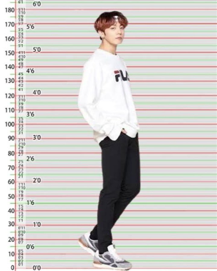 
Kim Jong-Kook Height, Weight, Net Worth, Age, Birthday, Wikipedia, Who, Instagram, Biography 