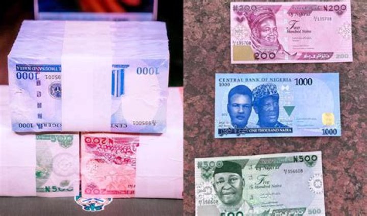 
Reactions As Fast-Rising Nigerian Singer Portable Shows Off Stacks Of Foreign Currency On IG 